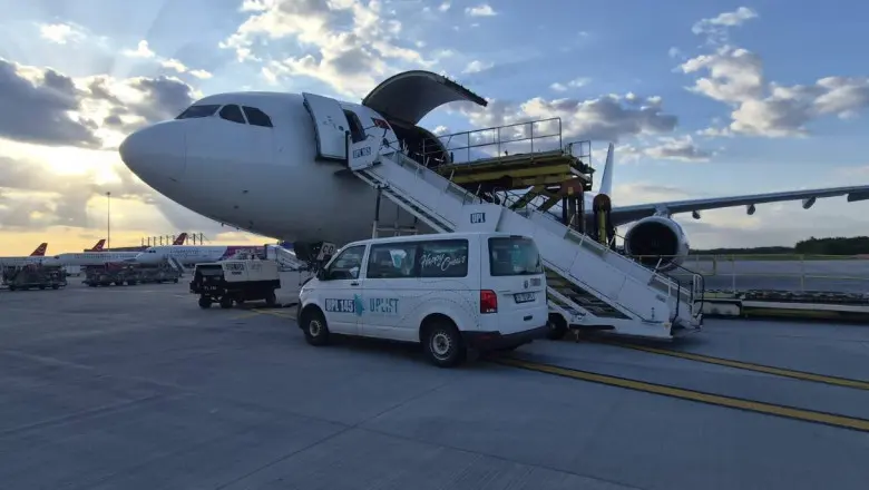 Avioane cargo